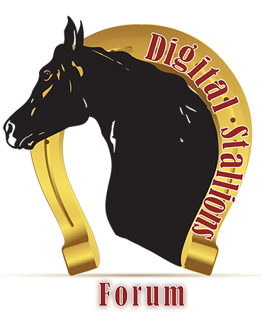 Digital Stallions Forum UAE